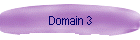 Domain 3