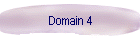 Domain 4