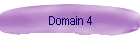 Domain 4